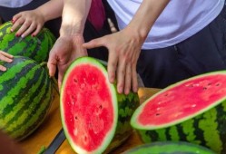 吃瓜学校全集免费看