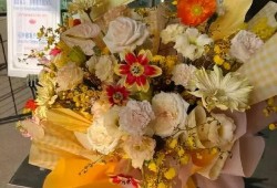 王凯李沁最新爆料杨紫,杨紫惊喜现身，揭秘幕后故事