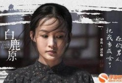 白鹿原电视剧在线观看免费,探寻历史变迁下的家族传奇