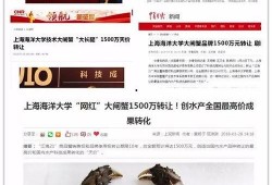 蟹太太老公爆料视频,揭秘夫妻背后的真实生活