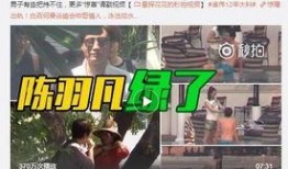 王女士爆料王保姆视频,真相令人震惊！