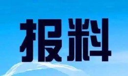 湛江新闻爆料网站大全,一网打尽本地资讯平台