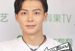 张铭恩李现最新爆料是真的吗,真相揭秘，是真是假引热议