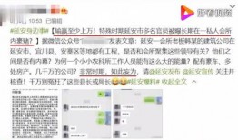 视频爆料当事人合法吗,视频爆料当事人合法性的法律边界探讨