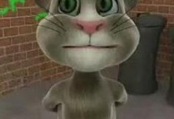 老板私人爆料视频下载,内幕大公开