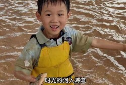 樊小慧视频爆料丈夫离婚,离婚背后惊人内幕曝光